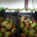 보람 농원 이미지