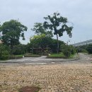 부평꿈나무 교통나라(영성동로18번길 51) 이미지