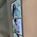 지오다노동성로
