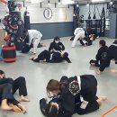 판테라짐 이미지