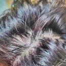 참빛의원 이미지