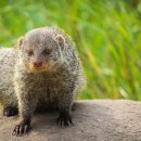 동신목욕탕 이미지