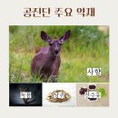 정온한의원 이미지