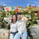 초두농장 | 곡성 섬진강 기차마을, 세계 장미 축제 기간, 주차 꿀팁!