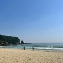 (주)동해플라스틱 네이버블로그