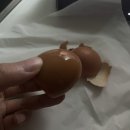 아침조아
