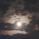 은파슈퍼