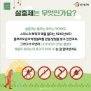 디디티