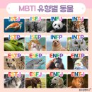 재미로 알아보는 MBTI 성격유형별 특징 이미지