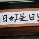 일일시호일 이미지