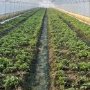 순이하우스 이미지