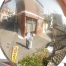 울산 결혼준비 울산에서 찍는 고퀄리티 야외 웨딩스냅 알이씨스튜디오 잔너울스냅