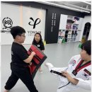 대한미르태권도장 이미지