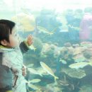 다대사랑어린이집 이미지