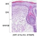 엘지바이오텍 이미지