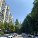 개포미래공인중개사사무소 이미지