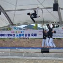 경희대백련태권도 네이버블로그
