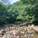 능강stay 네이버블로그