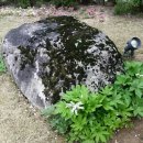 돌담하우스 이미지