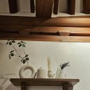 아담한가 이미지