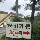 개미 | 화순맛집 : &lt;개미가든&gt; 솔직 후기