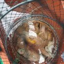 오늘도 여수 이미지