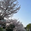 해운학사(국군복지단)