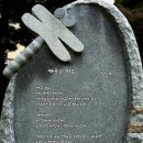 기흥호수 공인중개사사무소 이미지