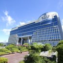 강서구-64 이미지