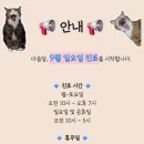 유어캣 고양이병원 이미지