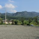 나정주유소 이미지