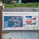 증도면보건지소 네이버블로그