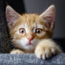 애플컴퓨터학원 이미지