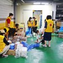 우림청과 이미지