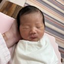 유델라 이미지