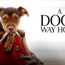 A dog's (어독스) 이미지