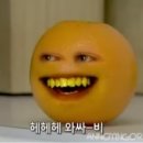 최스시 이미지