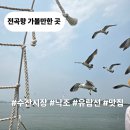 전곡항 마리나 클럽하우스 관광안내소 | 전곡항 수산시장 맛집 유람선포함 가볼만한곳 3