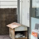 CU연평도점 이미지