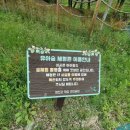 산동교 친수공원 축구장 이미지