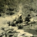 향-고향의 봄 이미지