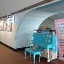 하이얀피아노 이미지