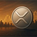 (주)시선커뮤니티 이미지