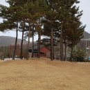 충숙공 권절 정려 이미지