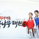 꿈나무 태권도 이미지