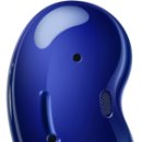 브라운버즈 이미지