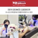 라퓨클레르 동물피부클리닉 | 라퓨클레르 동물피부클리닉 이나은 원장, 오로레이저 유저 인터뷰