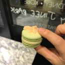 지니돌스 이미지