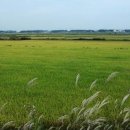 전봉준 고택 이미지