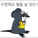 볕들날 티스토리